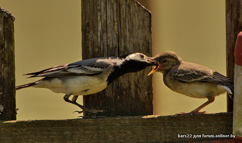 DSC_5042.jpg