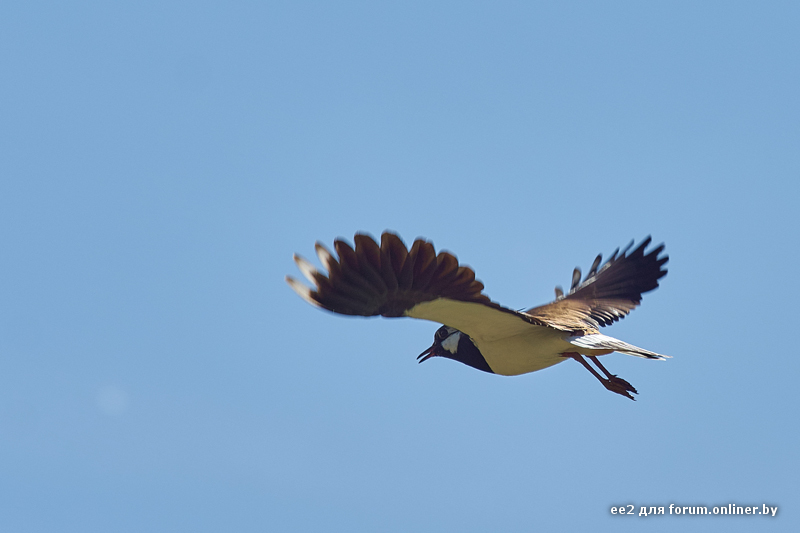 20150506-DSC06548 2.jpg