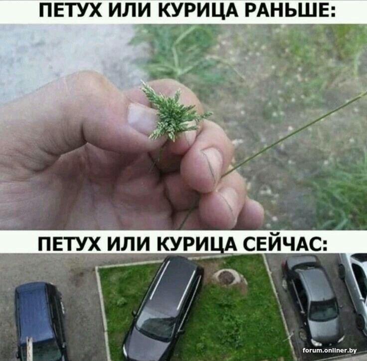 af2a2d35e1a04086bb5124c745730e2f.jpg