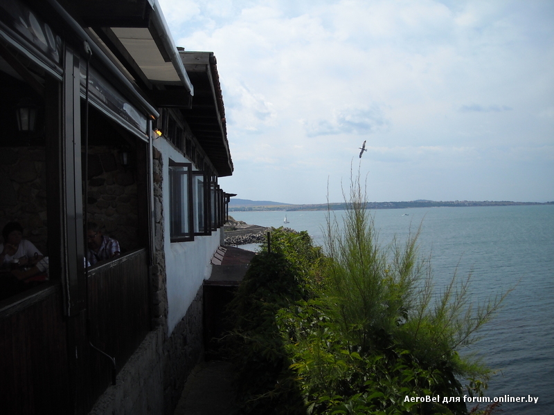 Изображение 321.jpg