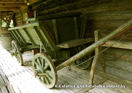 SH105875.jpg