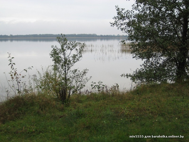 берег.jpg