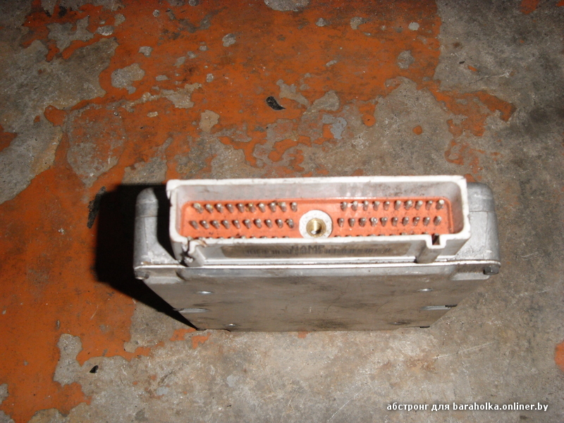 SDC17502.JPG