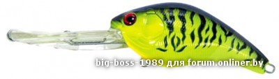 1586_6670_l.jpg