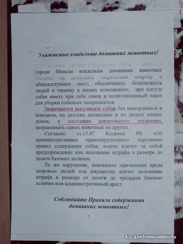 Образец заявления на хозяина собаки которая бегает без присмотра