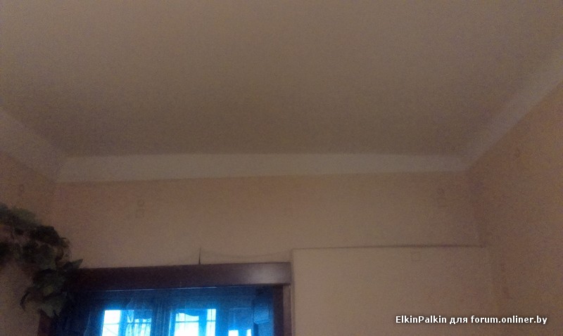 IMAG0620.jpg