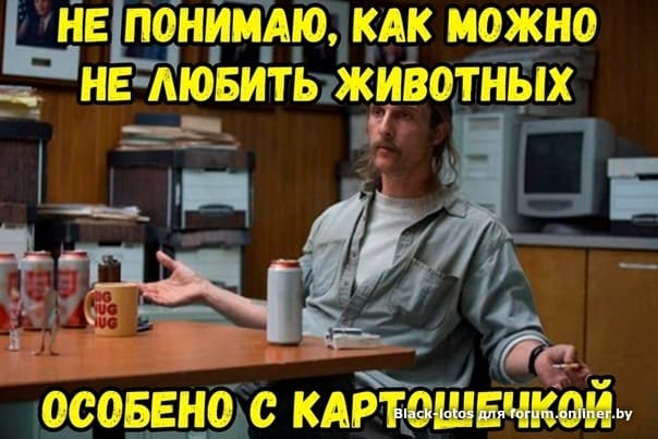 Ты можешь выбрать любого питомца которого захочешь