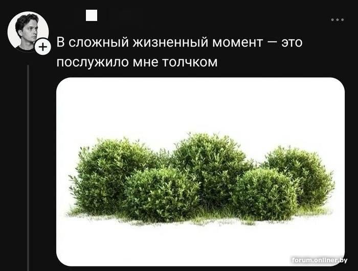 950361a0d937b9b88e07fbaad0b9a431.jpg