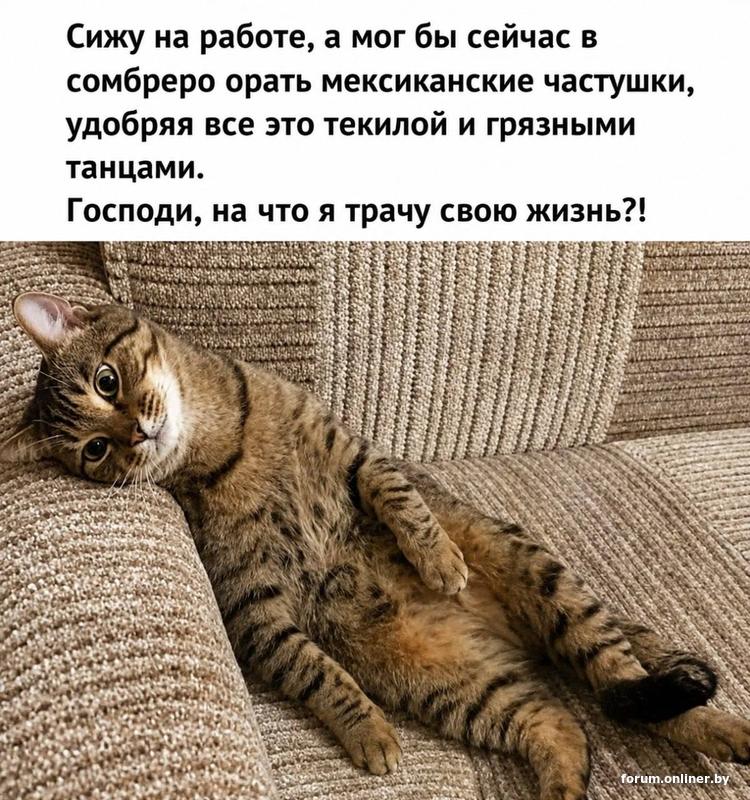 baf9385a8296fc727caf42735b33e63e.jpg