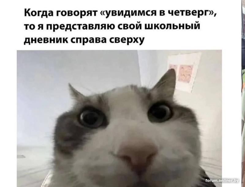 f7a9741d5240ef5e730ec47776f8480b.jpg
