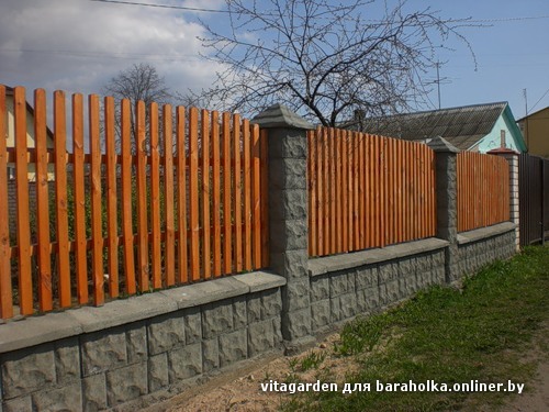 забор 2.jpg