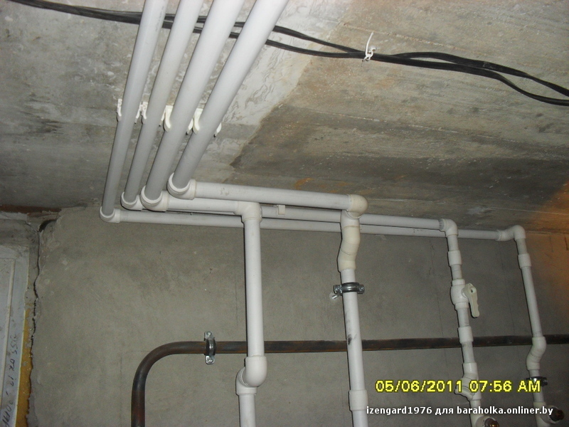 SDC11681.JPG