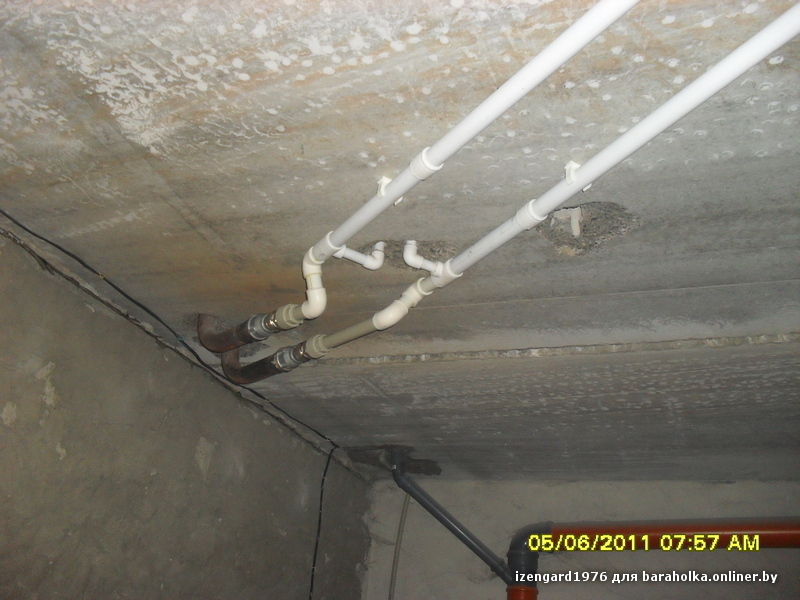 SDC11688.JPG