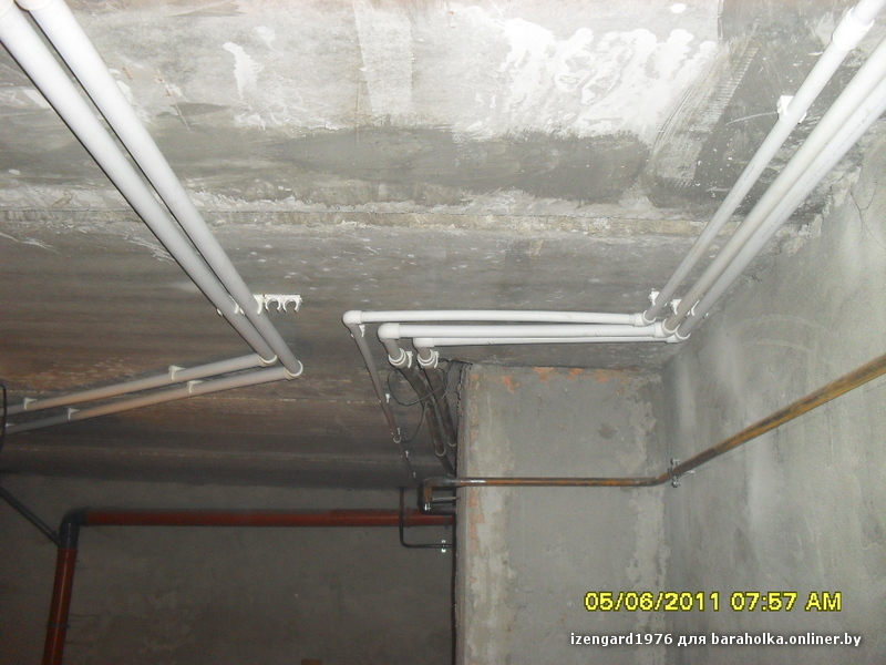 SDC11687.JPG