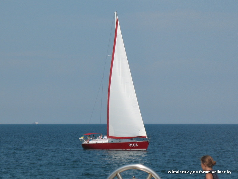 IMG_2433.JPG