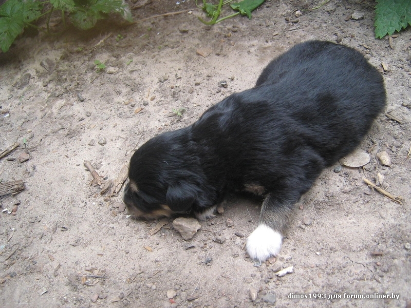 Новое изображение3.JPG