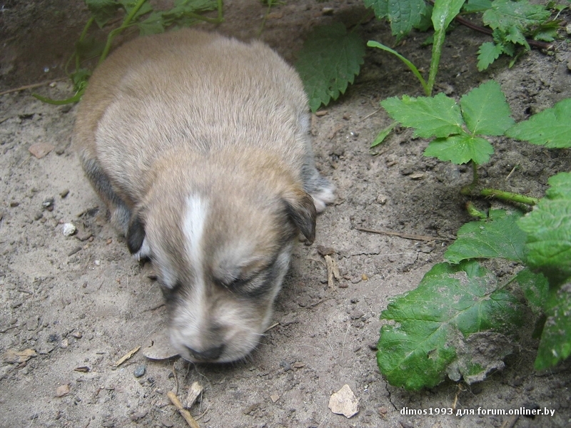 Новое изображение4.JPG