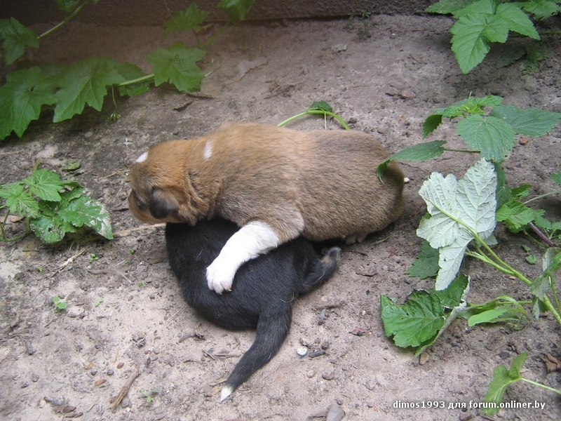 Новое изображение6.JPG