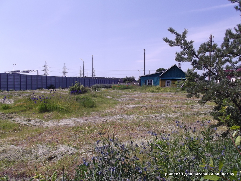 DSCF8075.JPG