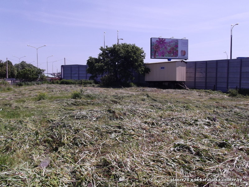 DSCF8090.JPG
