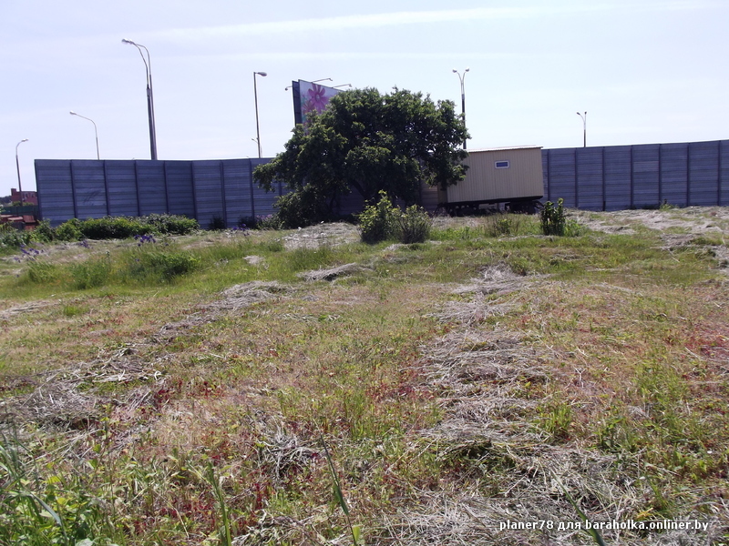 DSCF8082.JPG