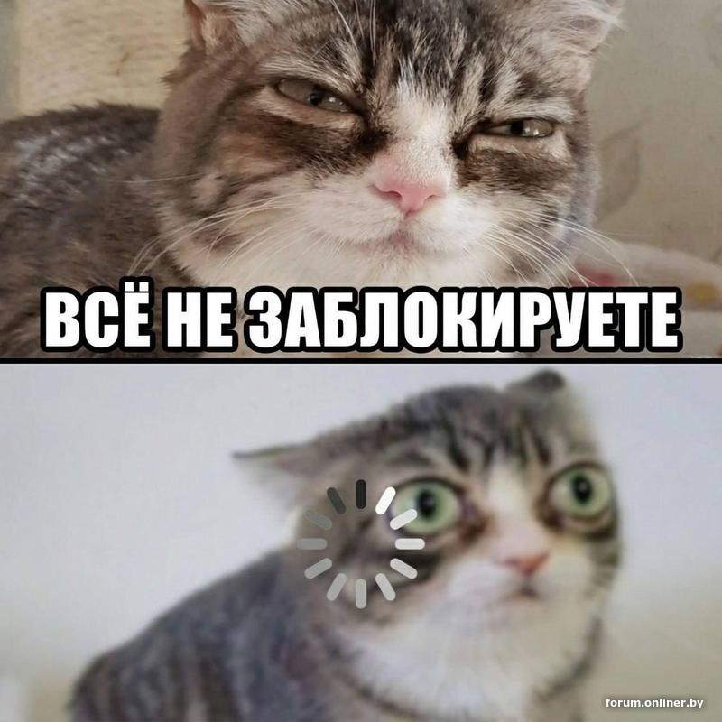 f0ebf1ace94c86eb9070d2e1000f5c44.jpg
