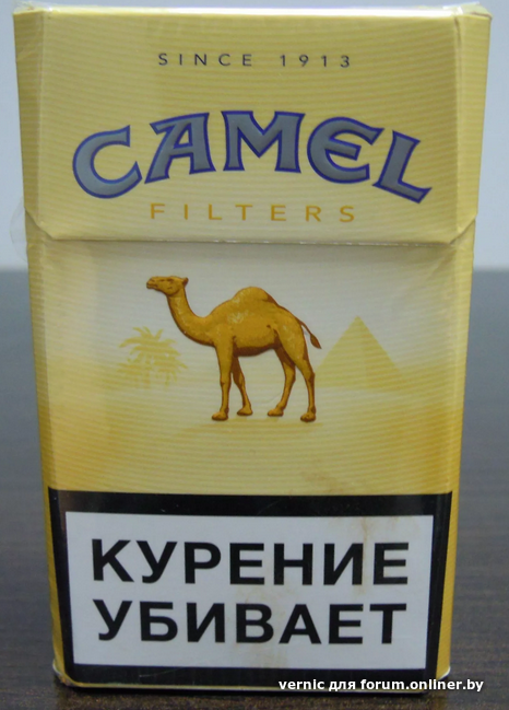 Camel компакт. Пачка кэмел компакт. Camel 1913 пачка сигарет. Белорусский кэмел сигареты. Сигареты Camel Original Filters.