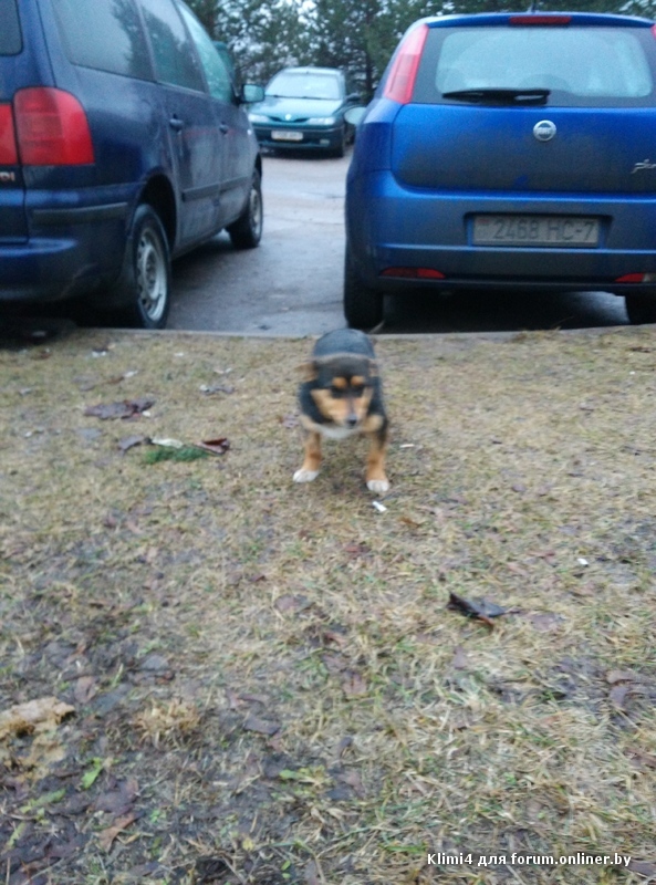 2015-03-02 18.23.25.jpg