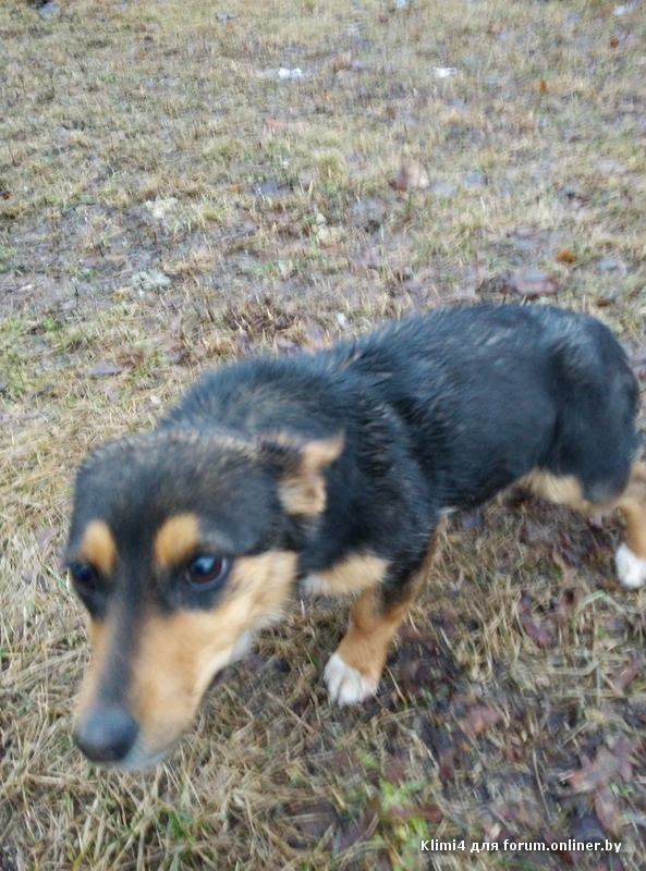 2015-03-02 18.22.59.jpg