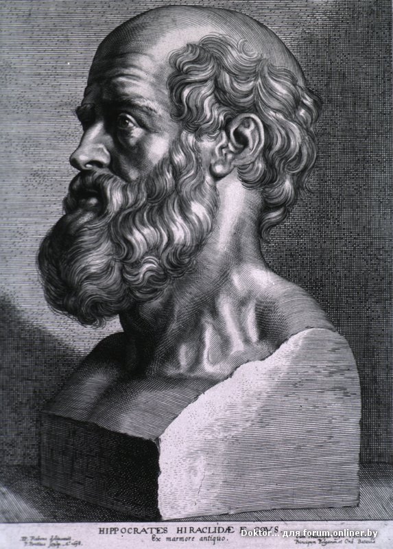 Hippocrates_rubens.jpg