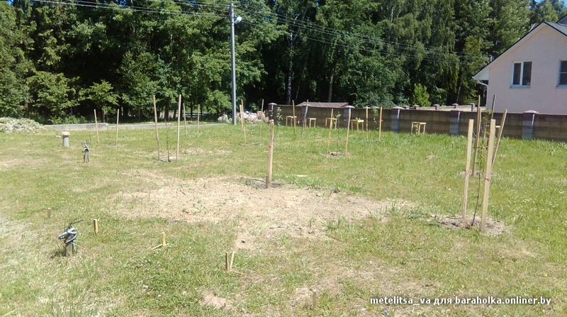 IMAG3071.jpg