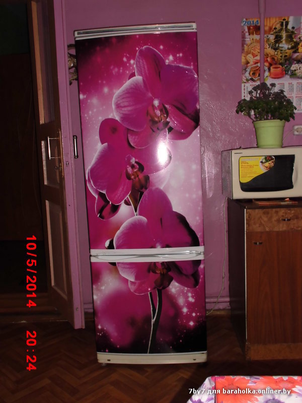 CIMG0761.JPG