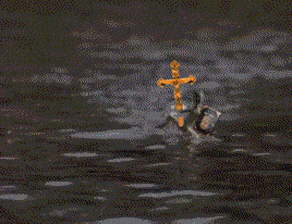 5cf452d893a674b67a03e8c62f308fca.gif