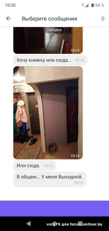 2256c7dfb53dba52cd86a5bd937246d3.jpeg