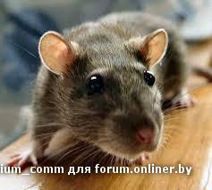 скачанные файлы (2).jpg