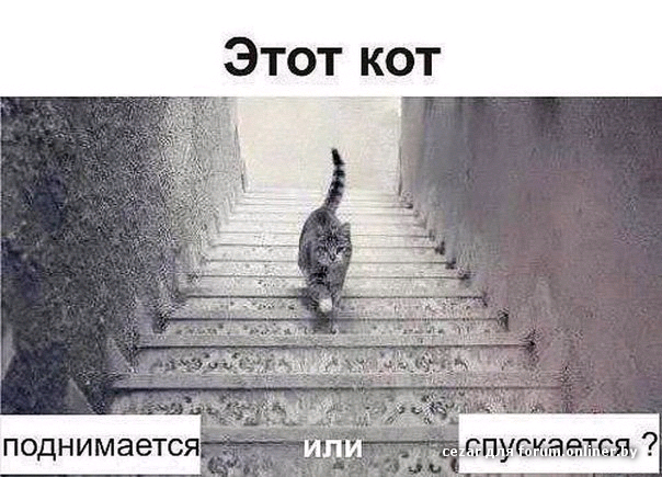 359427371.png 965b4850252e71cdba8ea00fb49d400a.png