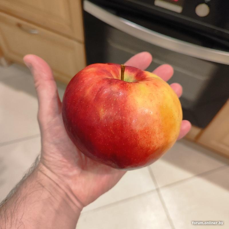 Сколько стоит построить ДОМ? - Форум onliner.by