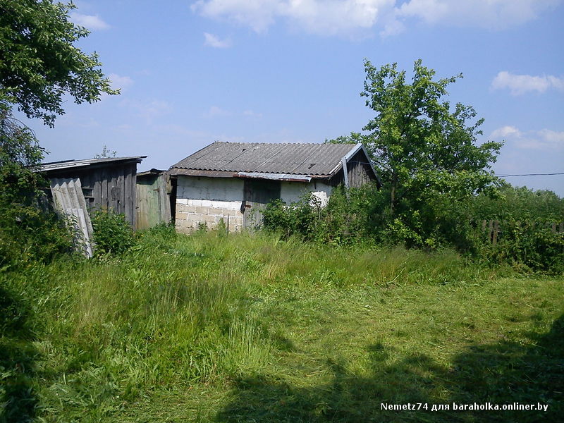 DSC00784.JPG