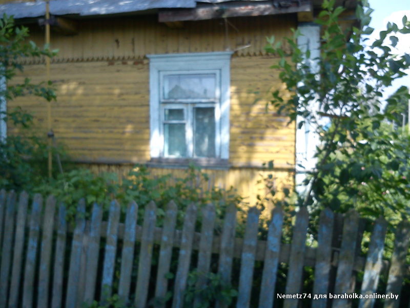 DSC00780.JPG