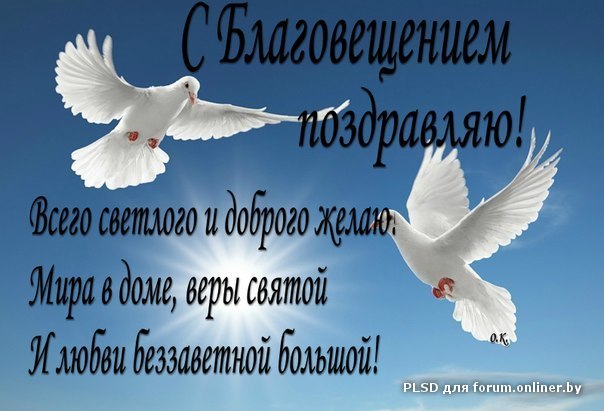 http://content.onliner.by/forum/8e2/019/525137/800x800/f16d5acc01ef9b4ed02133b39cc2add4.jpg