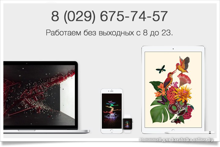 номер копия.png