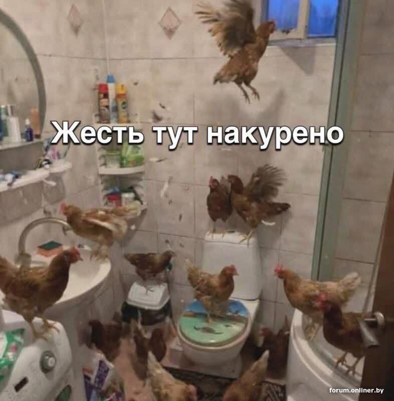 1c0c4b5f03d0282b547d3de9d693f33c.png