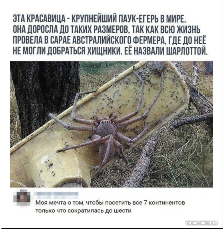 83f78808e341e73dd8d500f7e69376d0.png