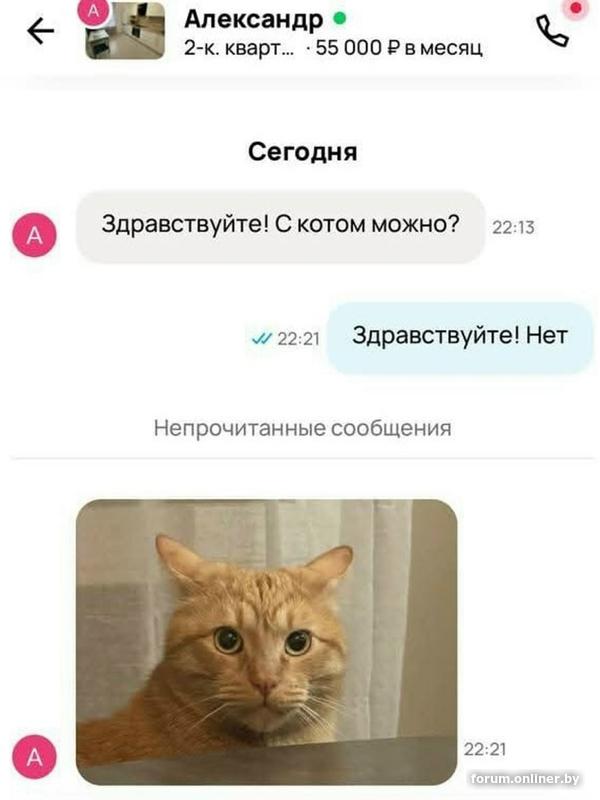 fea4c6ba1fa6885c3fa302e6b4a821b3.jpg