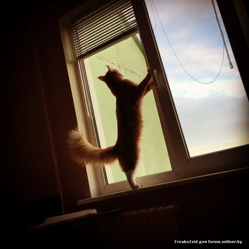 2015-05-28 20.40.36-1.jpg