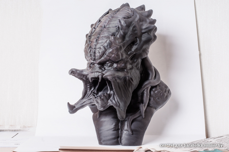 predator-900.jpg