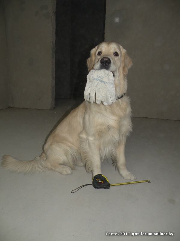 DSCN0252.JPG