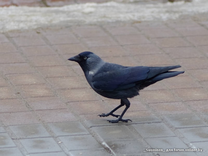 DSCF0165.JPG