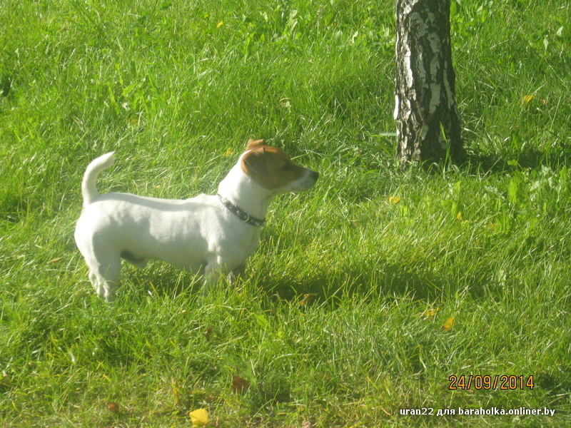 IMG_3875.JPG