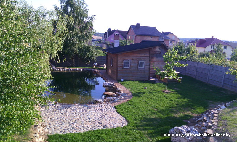 IMG_20150803_185626.jpg